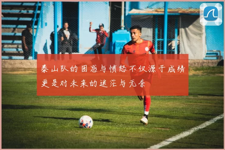 泰山队的困惑与愤怒不仅源于成绩更是对未来的迷茫与无奈